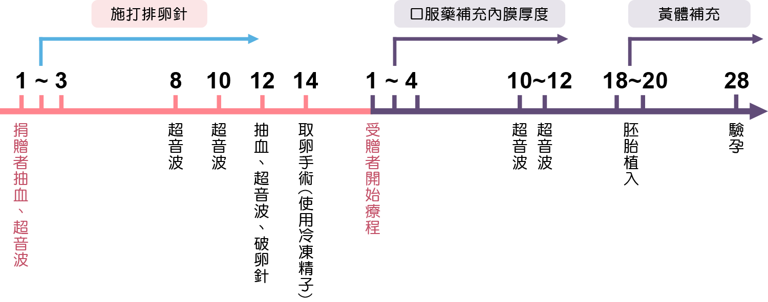 借卵-試管嬰兒流程