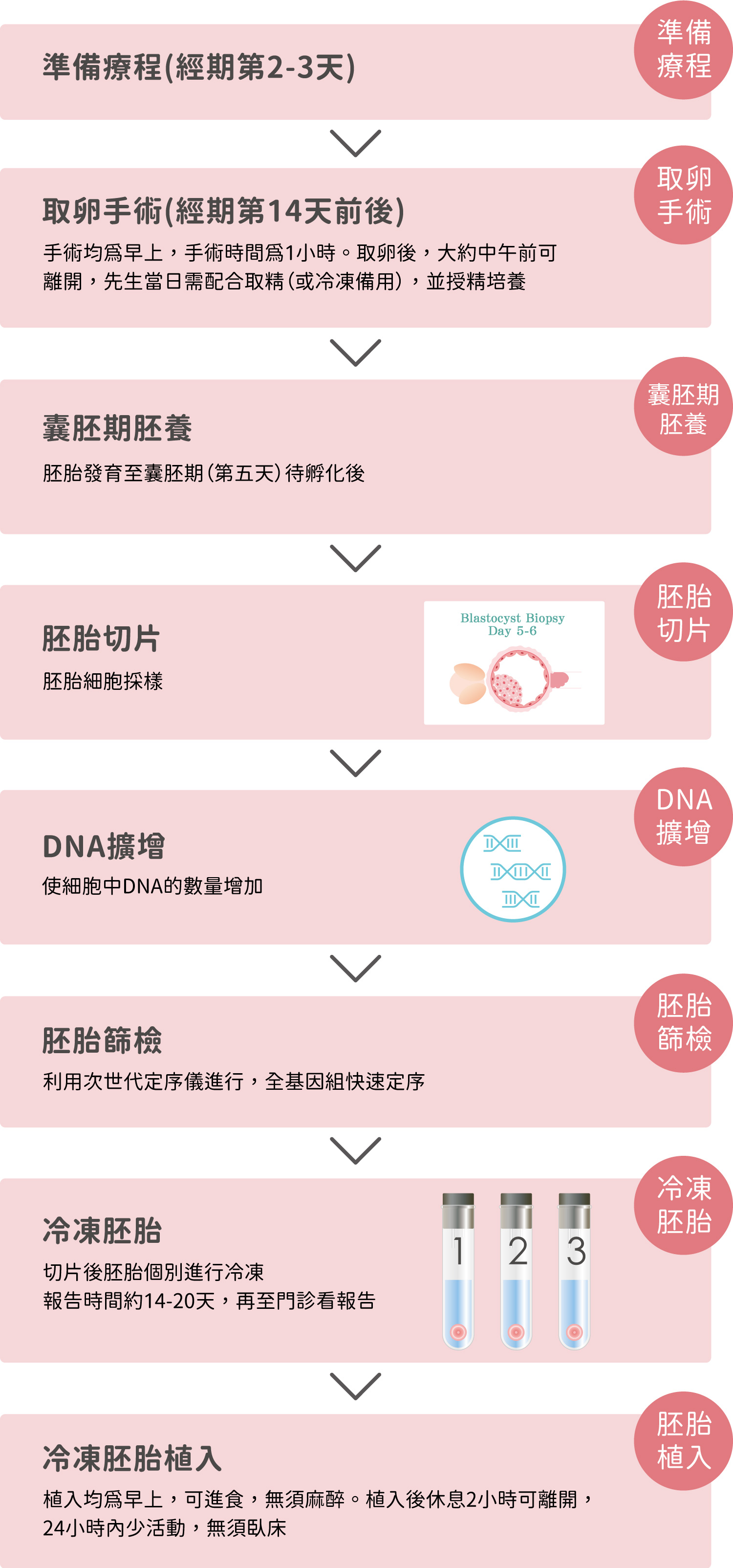 胚胎著床前如色體篩檢(PGT-A)流程說明