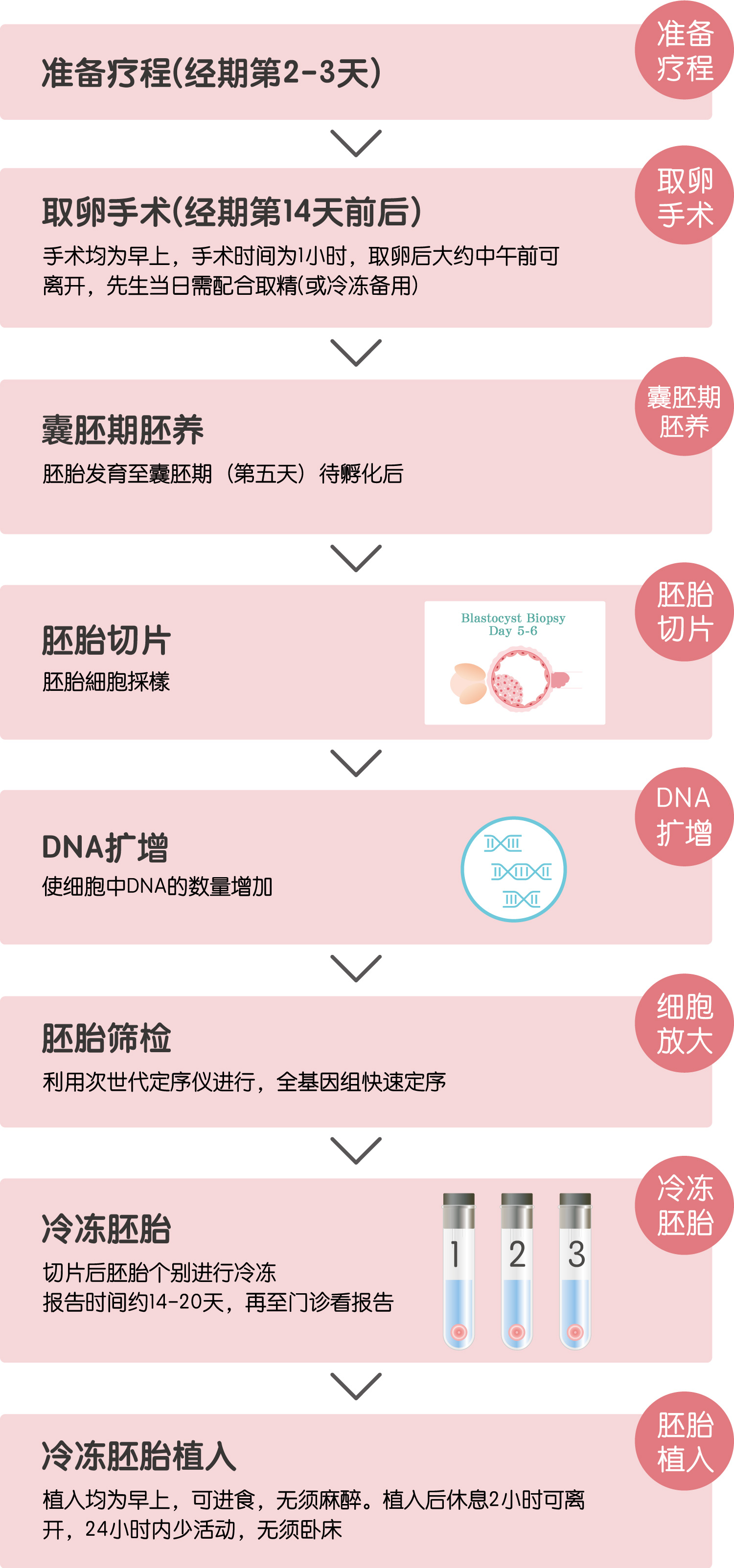 胚胎着床前如色体筛检(PGT-A)流程说明