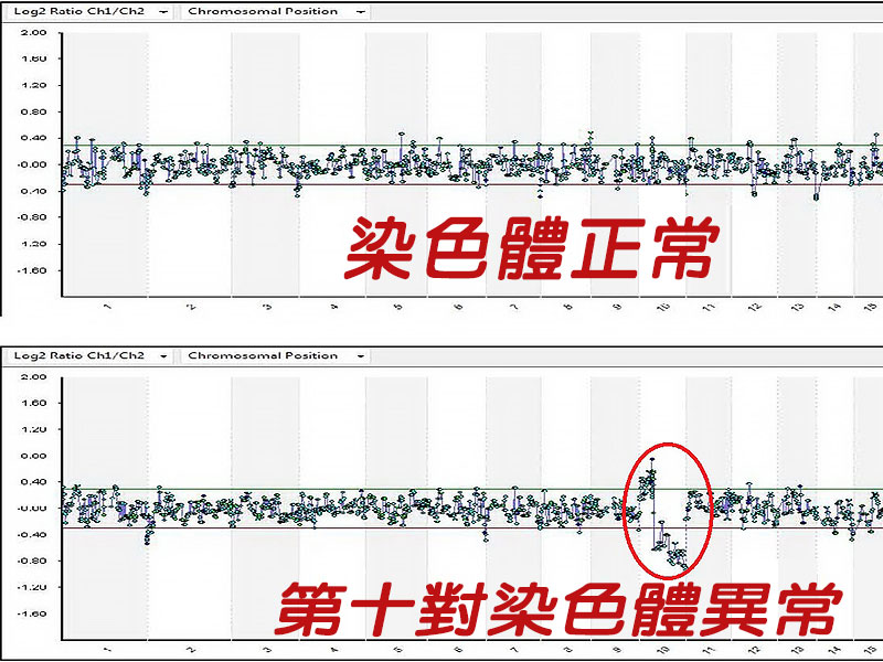 胚胎染色体筛检与基因鉴定 (PGS/PGD)