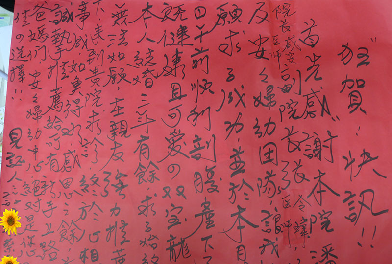 雙寶龍子到