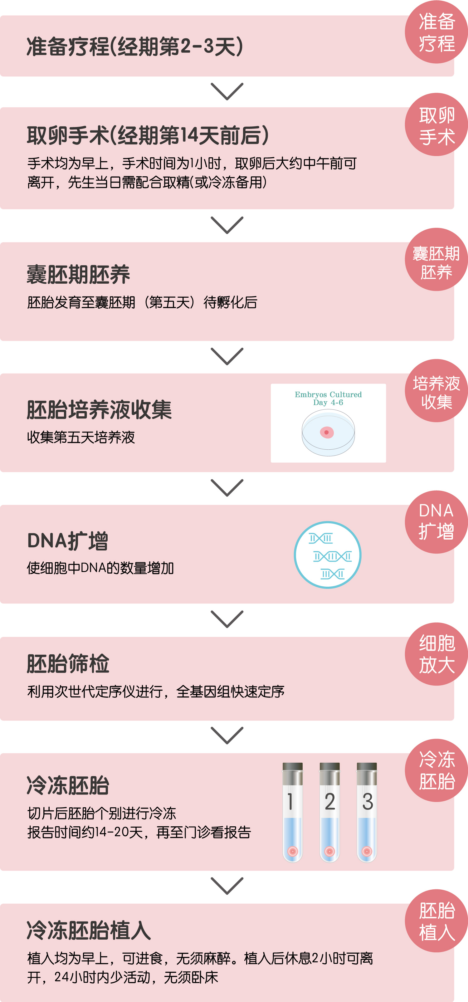 非侵入性胚胎染色体筛检(niPGT-A)流程说明