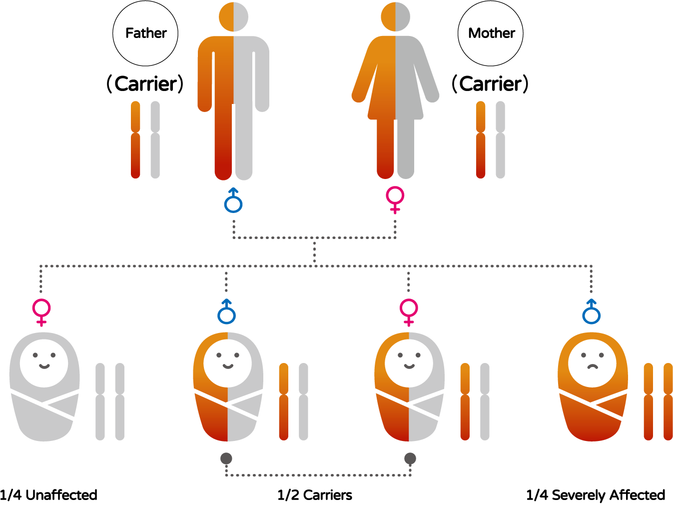 常染色體遺傳疾病